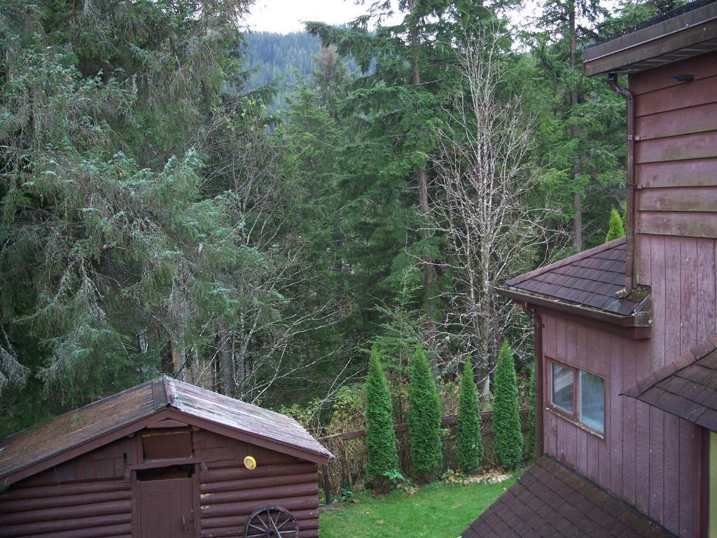 פרינס רופרט Tall Trees Bed & Breakfast חדר תמונה